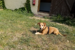 20190508_102529