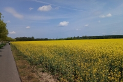 20190508_111237