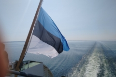 IMG_20190606_104357909