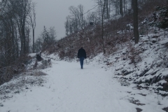 IMG_20211208_121813833