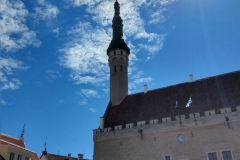 IMG_20190603_140816397_HDR