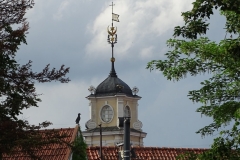 DSC01153